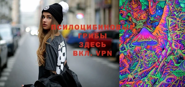 стафф Баксан